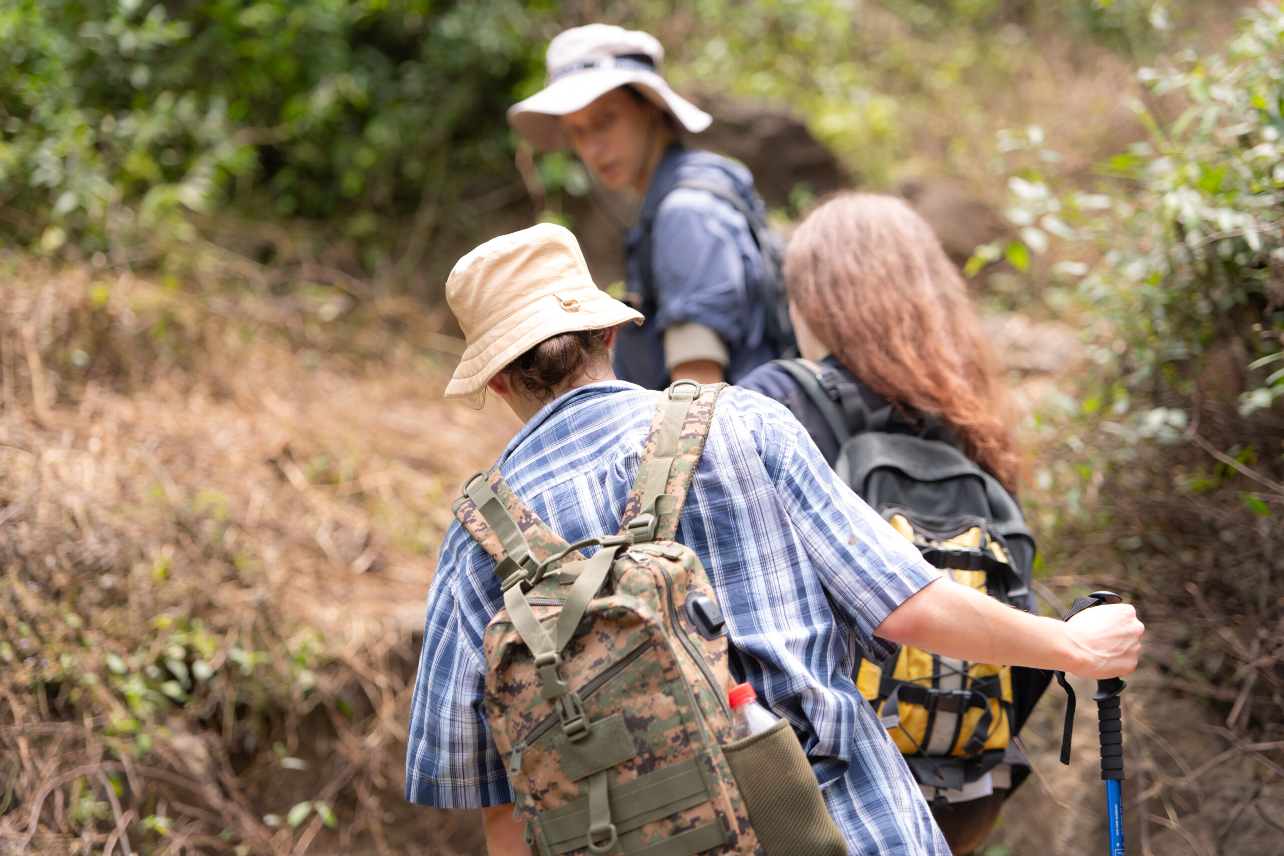 best time for gorilla trekking